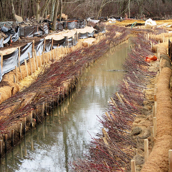 coir logs