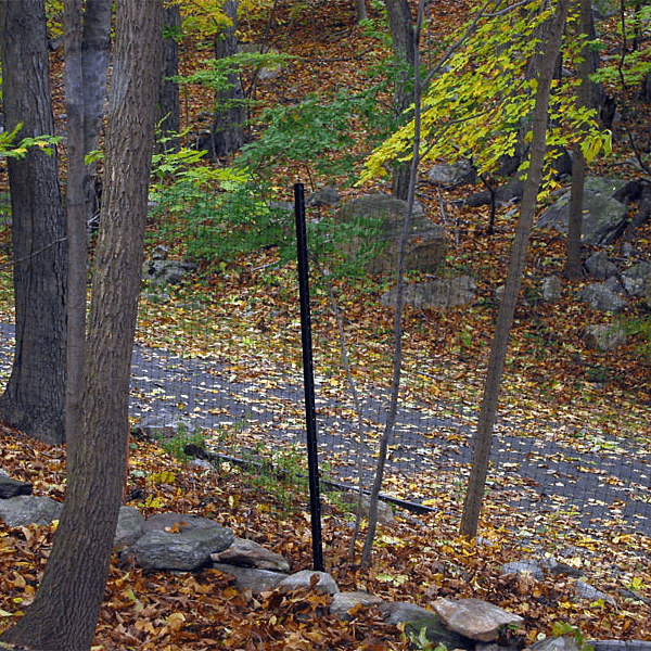 deer fence