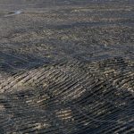 geogrid