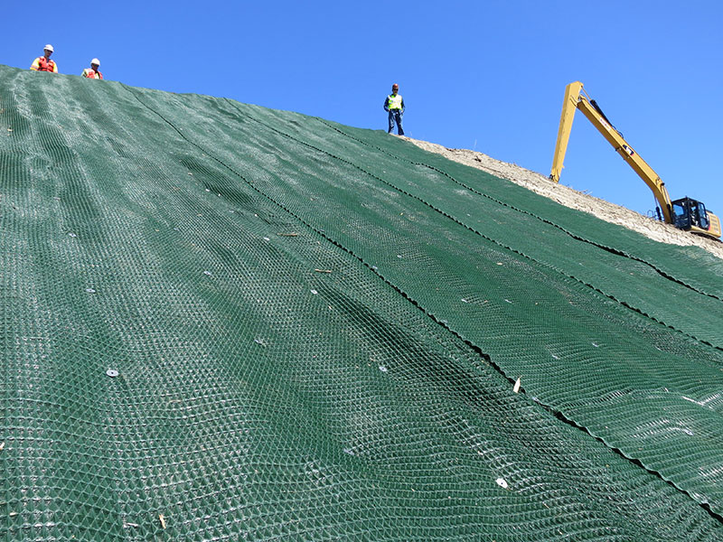 geogrid