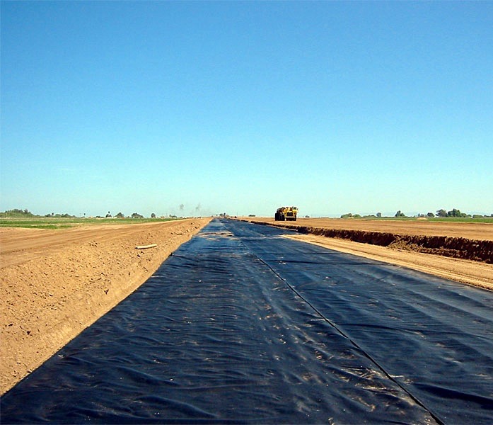 Geogrid