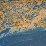 Water Pollution Solutions Through Erosion Prevention