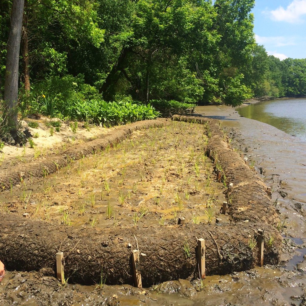 what is geogrid used for