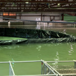 Muscle Wall Case Studies - Flood Control Testing & Application