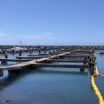 Floating Turbidity Barrier Installation - Understanding the Process