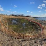 Utilizing the Bioswale for Green Infrastructure