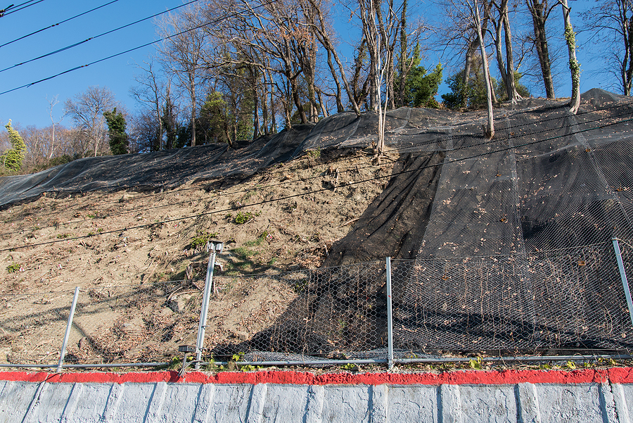 what is geogrid used for