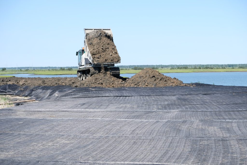 what is geogrid